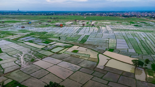 High angle view of agricultural field against sky