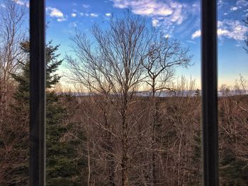Fence by tree against sky