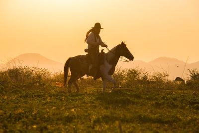 Horse riding horses on field during sunset