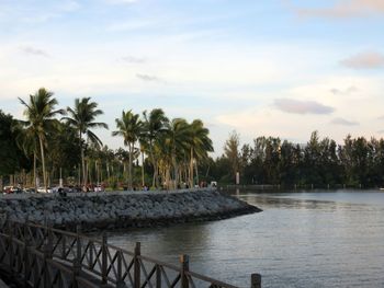 Scenic view of palm trees by lake against sky