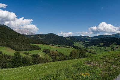 Scenic view of field against sky