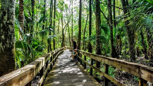 Father with son standing on boardwalk amidst trees in forest