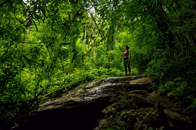 Man walking on dirt road amidst trees in forest