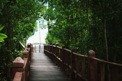 A wooden bridge that located at tanjung piai. tanjung piai was known as southern tip of asia. 