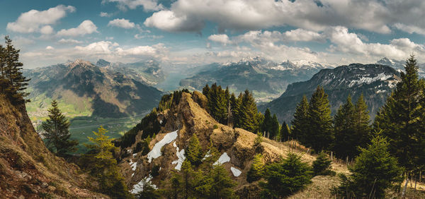 Panoramic view of trees and mountains against sky