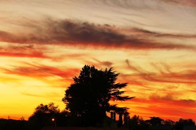 Silhouette trees against dramatic sky during sunset