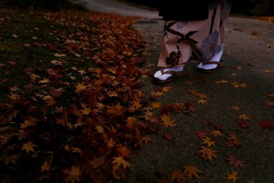 Low section of woman standing on autumn leaves