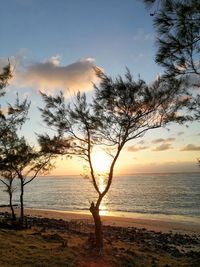 Scenic view of sea against sky during sunset