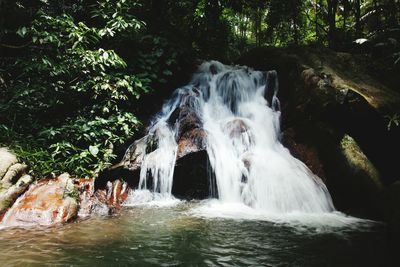 Waterfall in forest