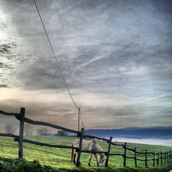 Scenic view of field against cloudy sky