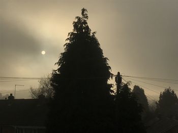 Low angle view of silhouette trees against sky during sunset