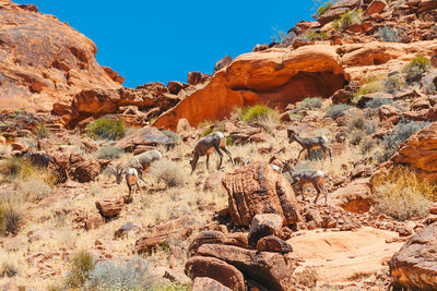 Low angle view of rock formations