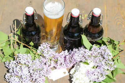 High angle view of flowering plants in glass bottle on table