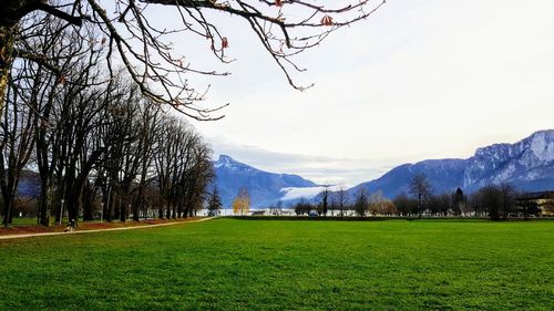 Scenic view of field against sky