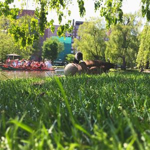 Men in park