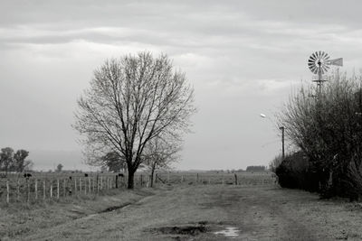 Bare trees on field against sky