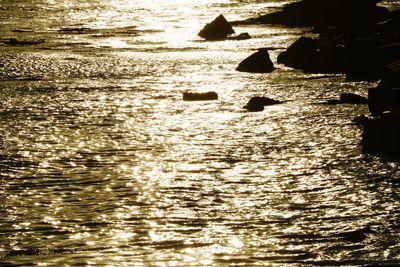 Scenic view of beach during sunset