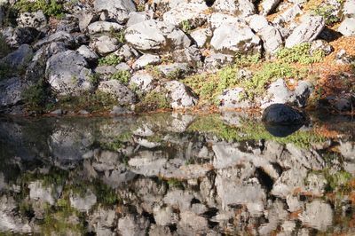 Rocks in the sea