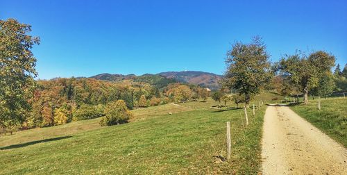 Scenic view of landscape against clear sky during autumn