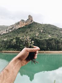 Cropped hand of person holding flowers over lake against mountain and sky