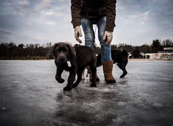 Low section of man with dog walking on street