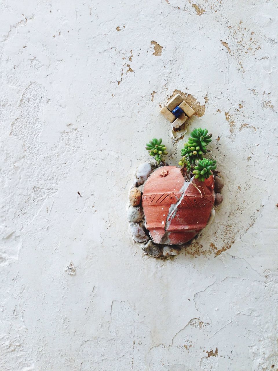 wall - building feature, built structure, high angle view, close-up, textured, weathered, wall, architecture, no people, old, day, red, outdoors, abandoned, plant, leaf, damaged, building exterior, deterioration, rusty