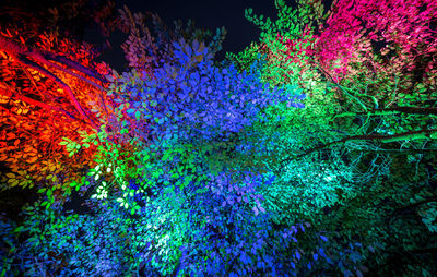 Full frame shot of multi colored lights