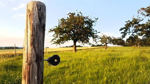 View of wooden post on field against sky