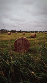 Hay bales on field against sky