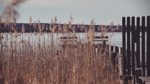 Panoramic view of lake against sky