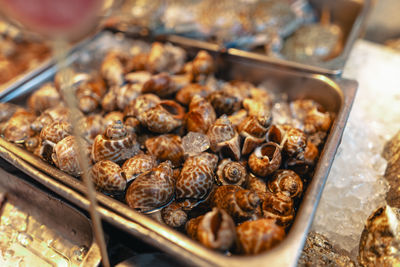 Close-up of food