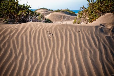 Scenic view of desert