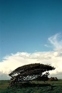 Scenic view of landscape against cloudy sky