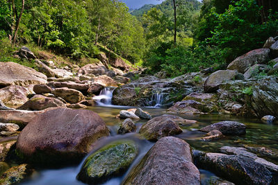 Stream flowing through rocks in forest