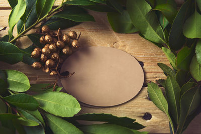 High angle view of leaves on table