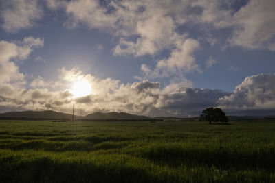 Scenic view of field against sky