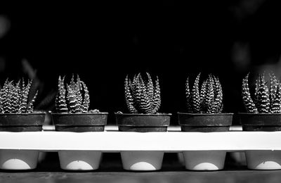 Close-up of stack of firewood against black background