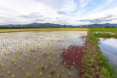 Scenic view of lake against sky