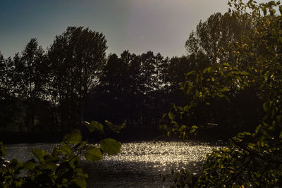 Scenic view of lake by trees against sky