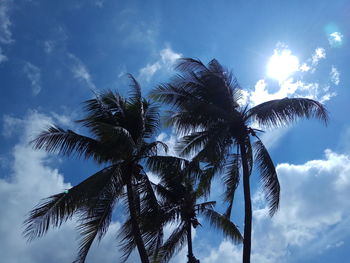 Low angle view of palm tree against blue sky