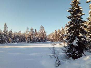 Dalarna in the middle of winter is just beautiful