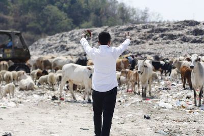 Rear view of man standing on land