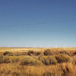Scenic view of field against clear blue sky