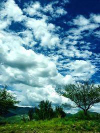 Scenic view of grassy field against cloudy sky