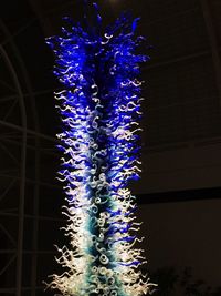 Low angle view of illuminated christmas tree at night