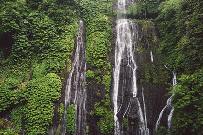 Low angle view of waterfall in forest