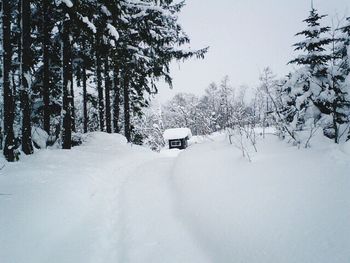 Scenic view of snow covered field