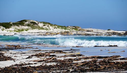 Scenic view of sea against clear sky