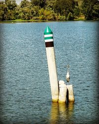 Swan perching on wooden post in lake