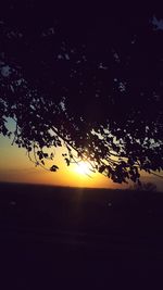 Silhouette tree against sky during sunset